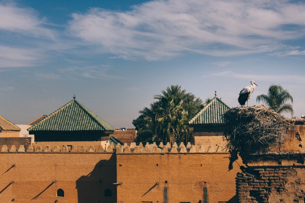 Cosas que hacer en Fez, Marruecos