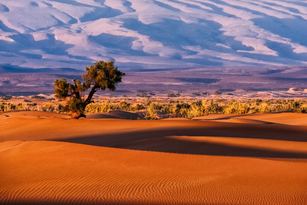 Excursión privada de 4 días al desierto de Merzouga desde Marrakech