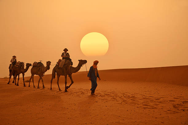 Excursion A Camello En Merzouga Merzouga